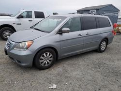 Honda Odyssey exl salvage cars for sale: 2010 Honda Odyssey EXL