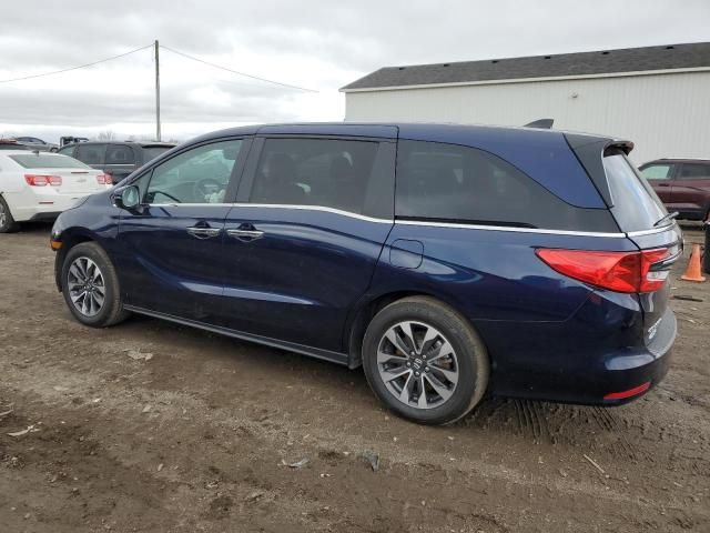 2023 Honda Odyssey EXL