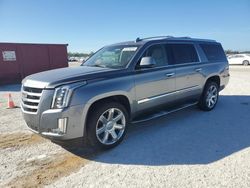 Cadillac salvage cars for sale: 2019 Cadillac Escalade ESV Luxury