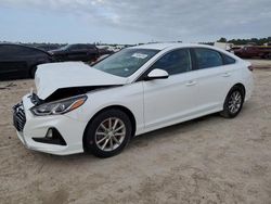 Hyundai Sonata salvage cars for sale: 2019 Hyundai Sonata SE