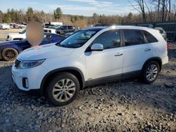 KIA Sorento salvage cars for sale: 2014 KIA Sorento EX