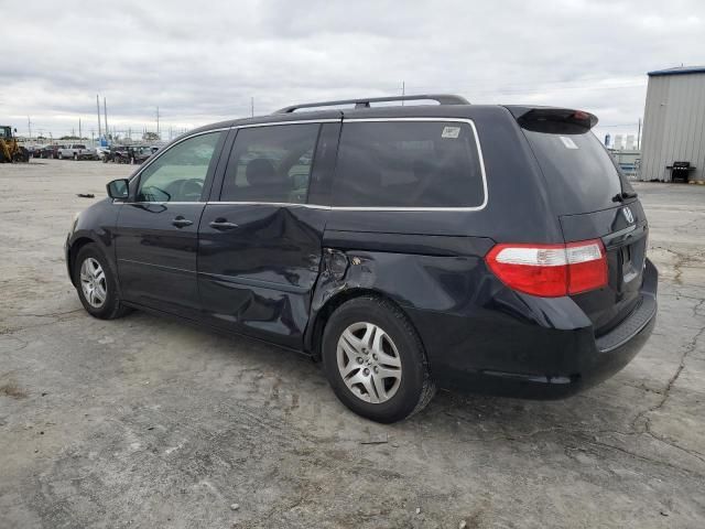 2005 Honda Odyssey EXL