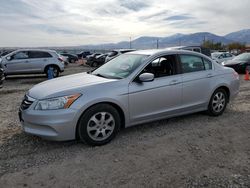 Honda Accord salvage cars for sale: 2011 Honda Accord SE