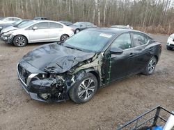 Nissan Sentra salvage cars for sale: 2021 Nissan Sentra SV