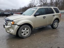 Ford Escape salvage cars for sale: 2011 Ford Escape XLT