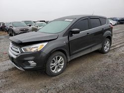 Ford Escape salvage cars for sale: 2019 Ford Escape SE