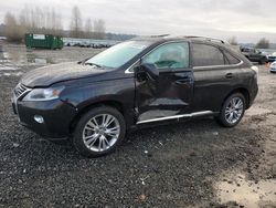 Salvage cars for sale from Copart Arlington, WA: 2014 Lexus RX 350 Base