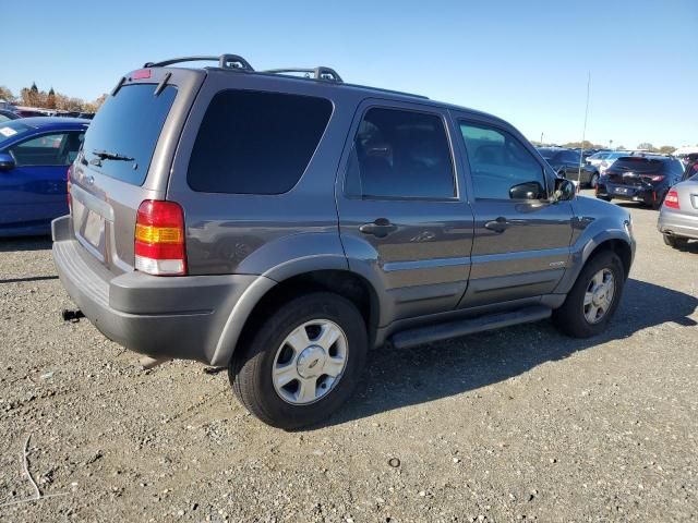 2002 Ford Escape XLT