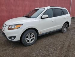 Hyundai Santa fe salvage cars for sale: 2010 Hyundai Santa FE GLS