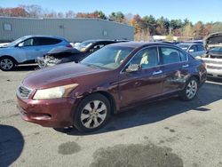 Honda Accord salvage cars for sale: 2008 Honda Accord EXL