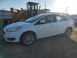 Ford Focus salvage cars for sale: 2016 Ford Focus SE