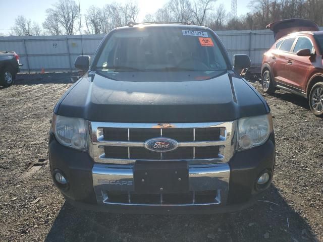 2011 Ford Escape Limited