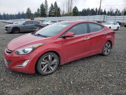 Hyundai Elantra salvage cars for sale: 2016 Hyundai Elantra SE