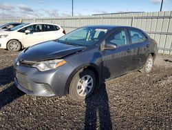 Toyota Corolla salvage cars for sale: 2016 Toyota Corolla L