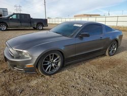 2014 Ford Mustang for sale in Bismarck, ND