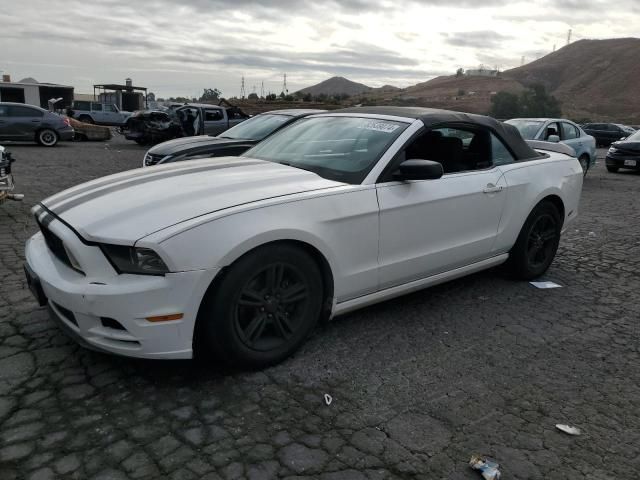 2013 Ford Mustang