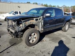 Toyota Tacoma salvage cars for sale: 2008 Toyota Tacoma Double Cab