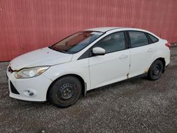 Ford salvage cars for sale: 2012 Ford Focus SE