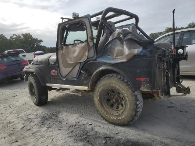 1980 Jeep Renegade