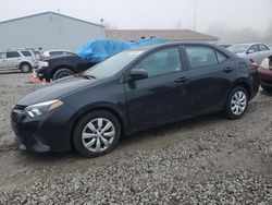 Toyota Corolla salvage cars for sale: 2016 Toyota Corolla L