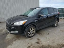 Ford Escape sel Vehiculos salvage en venta: 2013 Ford Escape SEL