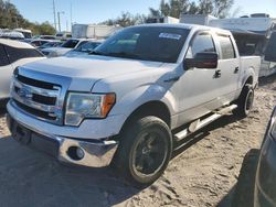 Ford f-150 salvage cars for sale: 2013 Ford F150 Supercrew