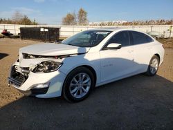 Chevrolet Malibu salvage cars for sale: 2019 Chevrolet Malibu LT