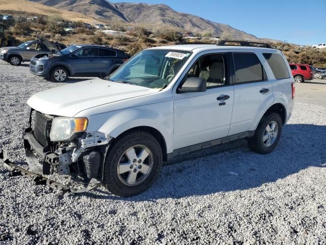 2011 Ford Escape XLT