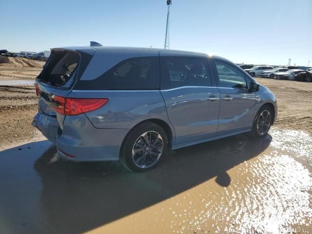 2024 Honda Odyssey Elite