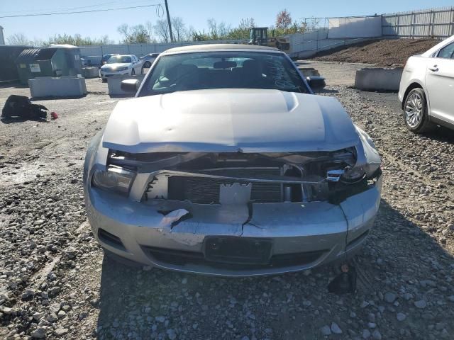 2010 Ford Mustang