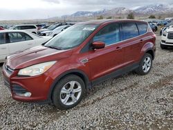 Salvage cars for sale from Copart Magna, UT: 2014 Ford Escape SE