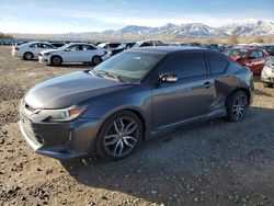 Scion salvage cars for sale: 2016 Scion TC