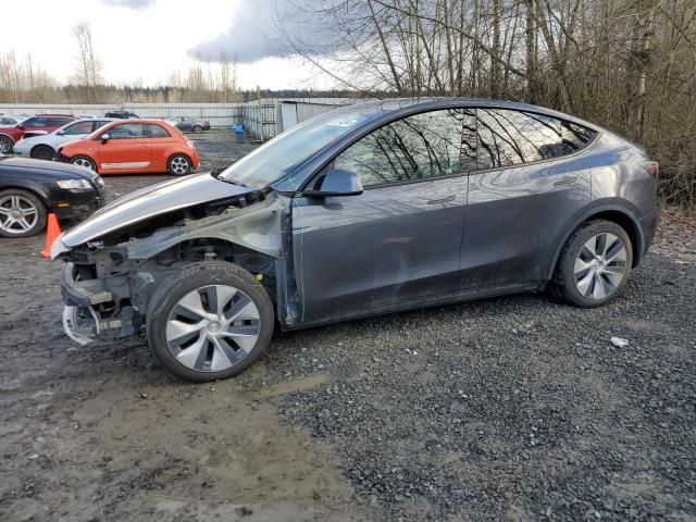 2020 Tesla Model Y