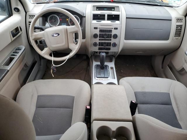 2008 Ford Escape XLT