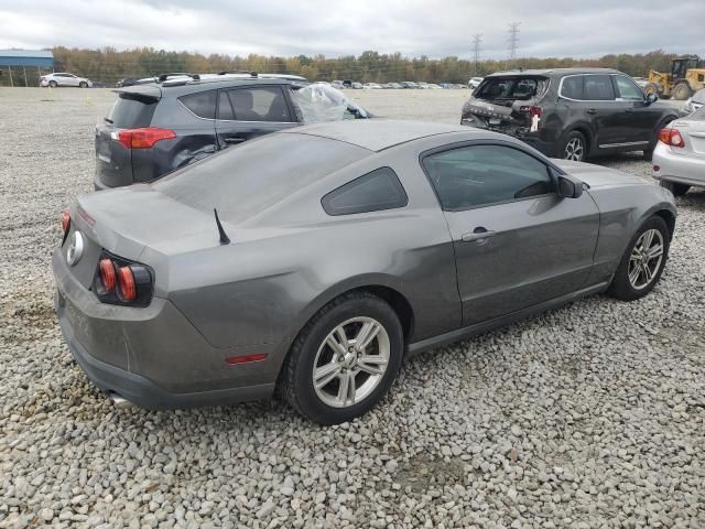 2010 Ford Mustang