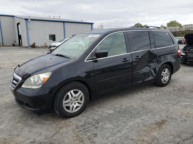 2005 Honda Odyssey EXL