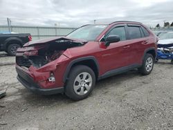 Toyota rav4 salvage cars for sale: 2020 Toyota Rav4 LE