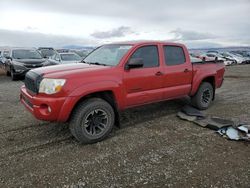 Toyota Tacoma salvage cars for sale: 2010 Toyota Tacoma Double Cab