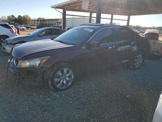 2008 Honda Accord EXL