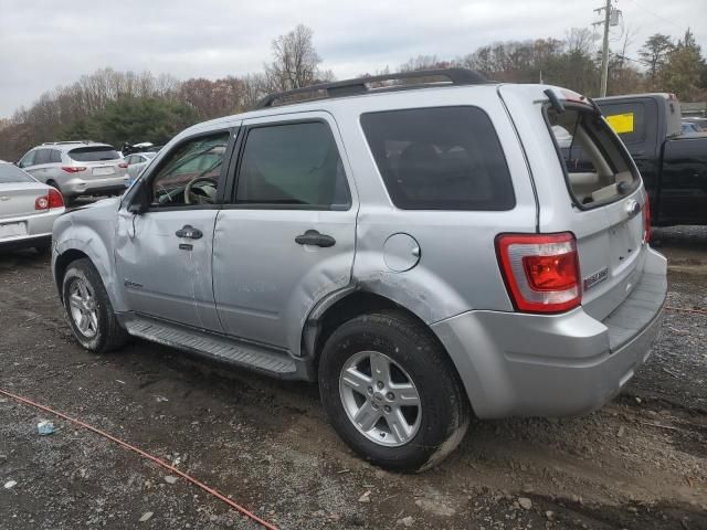 2011 Ford Escape Hybrid