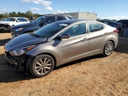 Hyundai Elantra salvage cars for sale: 2015 Hyundai Elantra SE