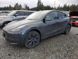 Tesla Model y salvage cars for sale: 2024 Tesla Model Y