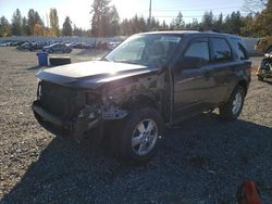 Ford Escape salvage cars for sale: 2011 Ford Escape XLT