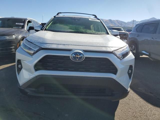 2024 Toyota Rav4 XLE Premium