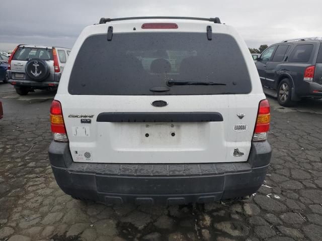 2006 Ford Escape XLT