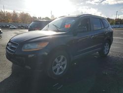 Hyundai Santa fe salvage cars for sale: 2008 Hyundai Santa FE SE