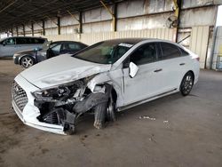 Hyundai Sonata salvage cars for sale: 2019 Hyundai Sonata Limited Turbo