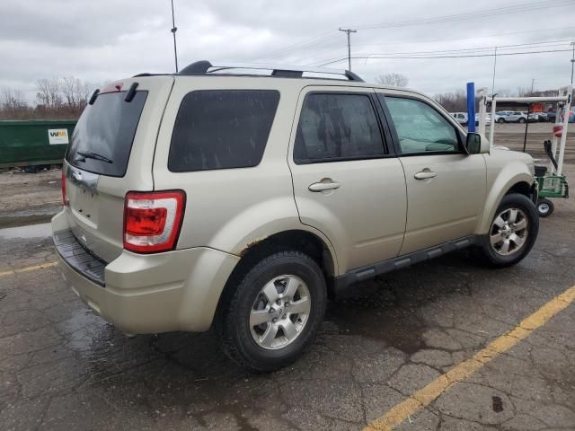 2010 Ford Escape Limited