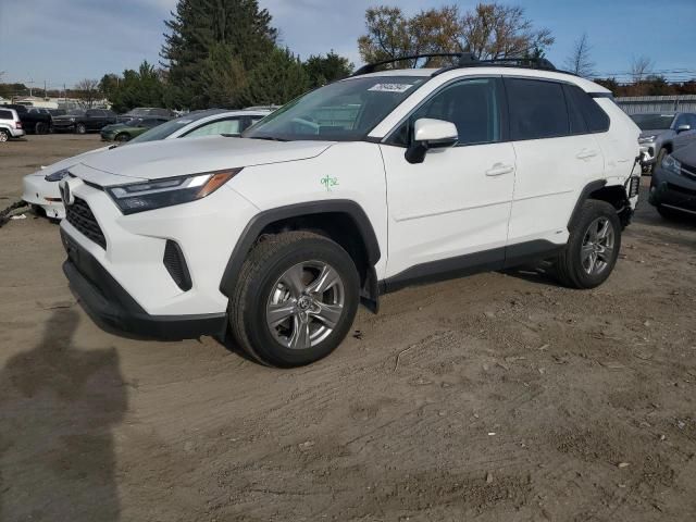 2024 Toyota Rav4 XLE