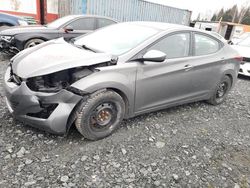 Hyundai Elantra salvage cars for sale: 2014 Hyundai Elantra SE